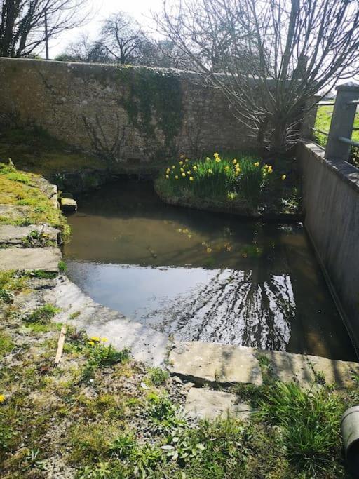Gite Spacieux Et Chaleureux Sainte-Mère-Église Esterno foto